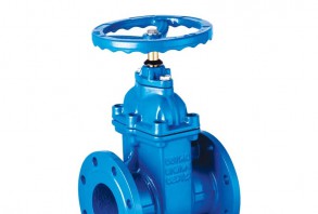 閘閥、蝶閥、止回閥、球閥、管件